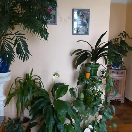 Frühstückspension D'hotes La Plantade 3*