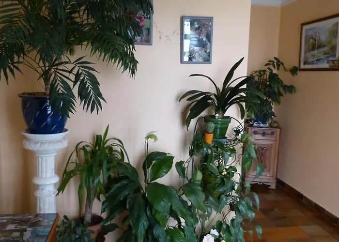 לינה וארוחת בוקר D'hotes La Plantade 3*